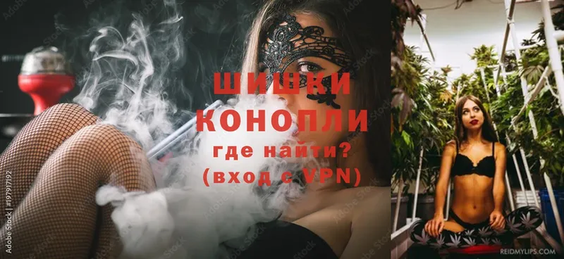 Бошки марихуана SATIVA & INDICA  гидра как зайти  Кизляр  купить наркотики сайты 